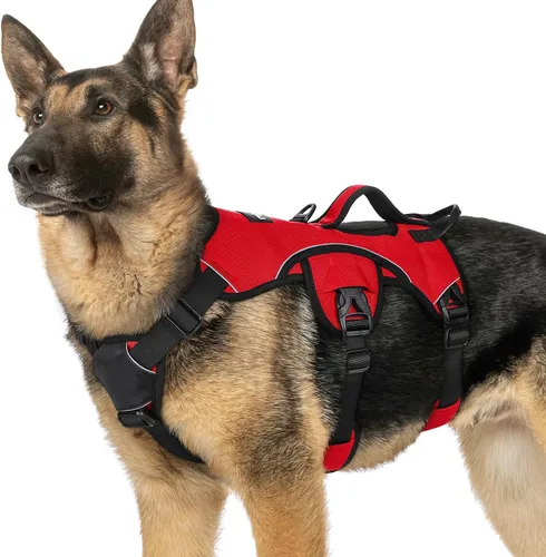 Miniatura 45 de rabbitgoo - Arnés para perro a prueba de fugas, arnés para mascotas acolchado suave de cuerpo completo, chaleco reflectante ajustable sin tirones