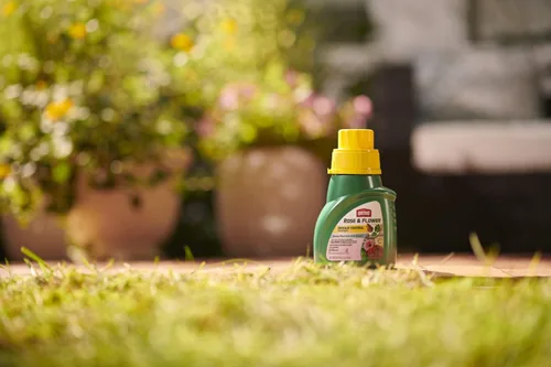 Miniatura 6 de Ortho Concentrado de control de enfermedades de rosas y flores, 16 oz
