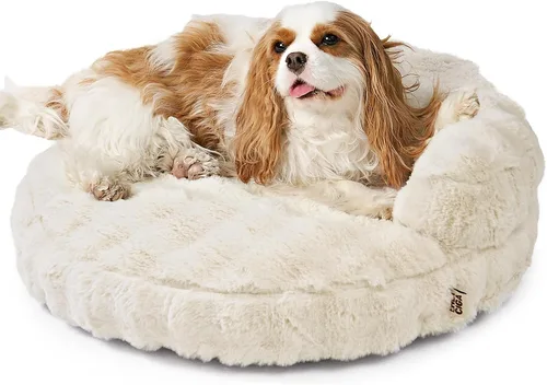 Miniatura 12 de EHEYCIGA Sofá cama suave para gatos de interior, cama extra pequeña esponjosa para perros con funda extraíble lavable, sofá para mascotas, Camello