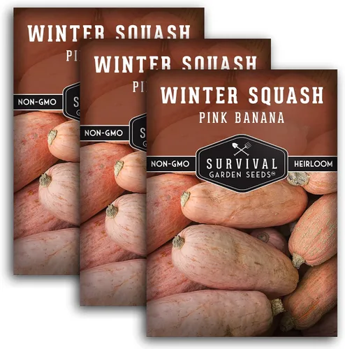Survival Garden Seeds - Semilla de calabaza de invierno de plátano rosa para plantar - 3 paquetes con instrucciones para cultivar verduras de