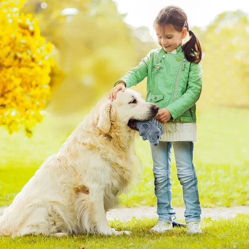 Miniatura 6 de Juguetes masticables para perros para masticadores agresivos, juguetes de huesos de perro grandes, juguetes para perros para masticadores