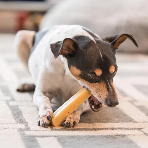 Miniatura 7 de KATHMANDU'S Auténticos masticables de queso de yak para perros del Himalaya, golosinas nutricionales naturales y ricas en proteínas, masticables