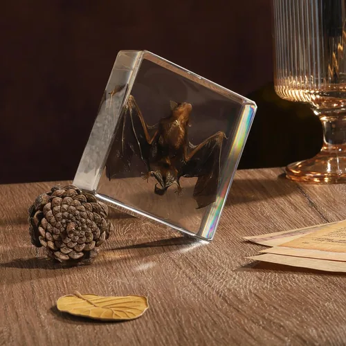 Miniatura 3 de Murciélago de taxidermia, especímenes de murciélago reales en resina para educación científica en el aula, gran regalo para fanáticos