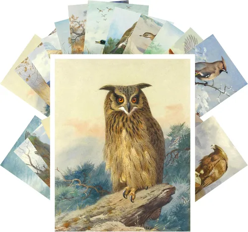 Miniatura 9 de Pixiluv Postales vintage (24 piezas de 10x15 cm cada una) Ilustración de libro botánico antiguo de colibríes y pájaros pequeños Tarjetas de nota Agua