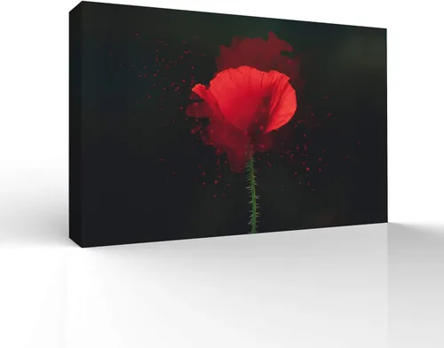 Miniatura 46 de wall26 Canvas Wall Art Beautiful Flowers Pictures Home Wall Decorations for Bedroom Living Room Paintings Canvas Prints Framed - 32x48 inches