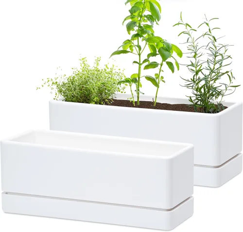 Miniatura 10 de D'vine Dev - Maceta para ventana de 12 pulgadas, maceta rectangular de plástico para hierbas con agujeros de drenaje y plato, maceta de suculentas
