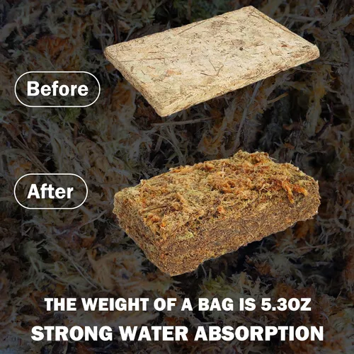Miniatura 3 de Hourleey Musgo de esfagnum para plantas, maceta de musgo seco de fibra larga natural de alta calidad, musgo de turba esfagnum a granel