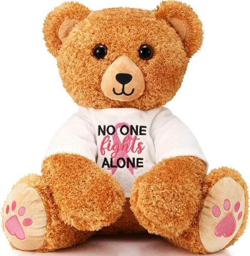 Chalyna Oso de peluche de 16 pulgadas para el cáncer de mama, oso de cinta rosa, oso suave para sobrevivientes de cáncer, regalo para mujeres