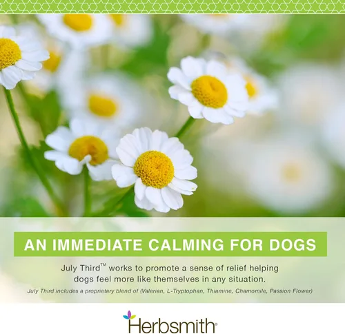 Miniatura 3 de Herbsmith Tercer de julio - Masticables calmantes caninos - Hierbas calmantes para perros - Suplementos de ansiedad para perros - Masticables