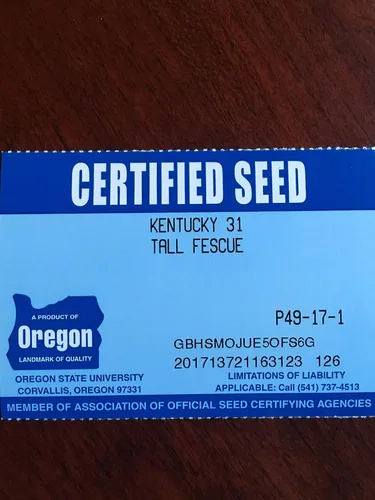 Miniatura 6 de Kentucky 31 K31 - Semilla de hierba alta de Eretz – Elige el tamaño. Certificado por el estado, sin rellenos, sin malas hierbas u otras semillas