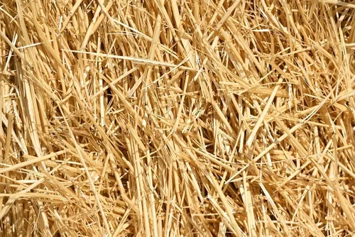 Paja de trigo natural de 15 libras para ropa de cama de animales, mantillo de jardín, abono y fertilizante, y cubierta de césped