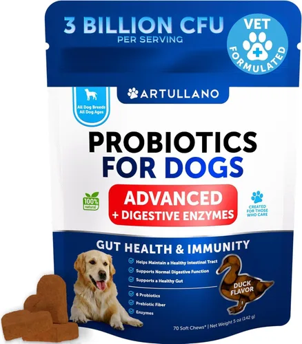 Miniatura 7 de Probióticos para Perros - Apoyo para la Salud Intestinal, Picor en la Piel, Alergias, Inmunidad, Equilibrio de Levadura - Probióticos para Perros