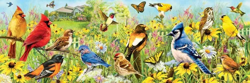 Miniatura 2 de EuroGraphics Pájaros de patio trasero panorámico 1000pc