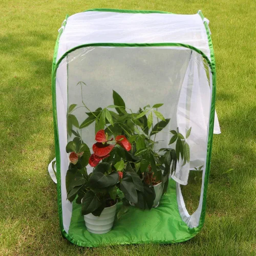 Miniatura 4 de Hábitat grande de mariposa monarca de 36 pulgadas, jaula gigante plegable de malla para insectos, terrario emergente de 24 x 24 x 36 pulgadas con 10