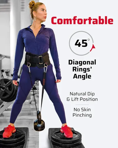 Miniatura 2 de THEFITGUY Paquete de sujeción de cable de cuerda ergonómica para tríceps y cinturón de inmersión definitivo