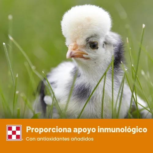 Miniatura 6 de Purina Comience y crezca Alimento para pollitos no medicados Crumbles Nutricionalmente completo - Bolsa de 5 libras (5 libras)