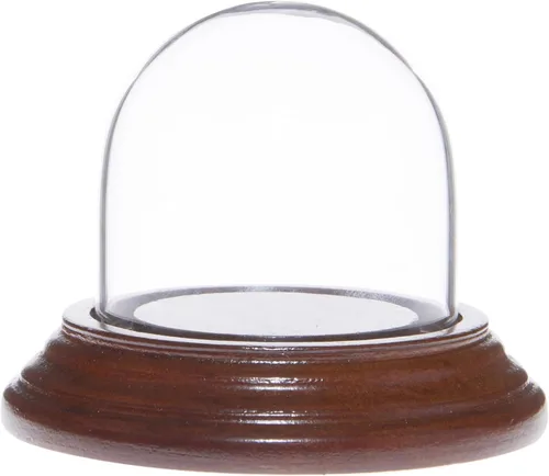 Miniatura 6 de Plymor 1.875" x 1.875" Mini cristal Display Dome Cloche (base de chapa de caoba oscura)