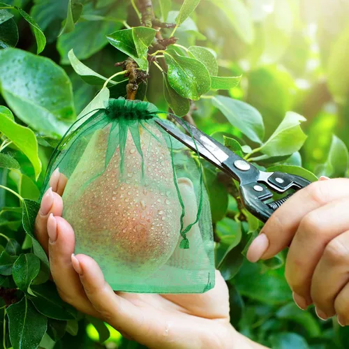 Miniatura 5 de 100 bolsas de protección de frutas, bolsas de red de frutas para árboles frutales, cubierta de jardín frutal, bolsa de malla de 5 x 7 pulgadas