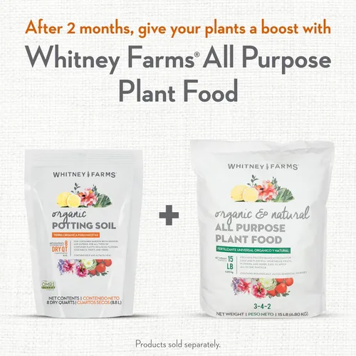 Miniatura 9 de Whitney Farms Suelo orgánico para macetas: mezcla natural para contenedores para interiores y exteriores, tierra orgánica para macetas