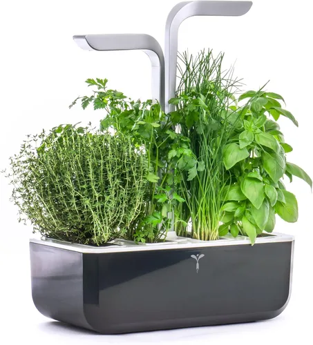 Miniatura 9 de Jardín interior inteligente de Véritable® - Exky Smart Arctic White - 2 lingots® incluidos