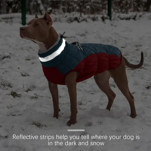 Miniatura 5 de FUAMEY - Chaqueta de invierno para perro, chaleco acolchado con arnés, ropa cálida para mascotas, abrigo con cremallera, impermeable, para perros
