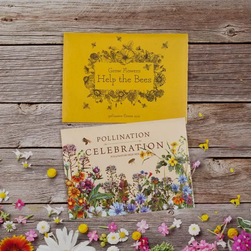Miniatura 4 de Bentley Pollination Celebration - Paquetes de semillas de flores silvestres, sin OGM, mezcla de flores sin recubrimiento para plantar, hermoso