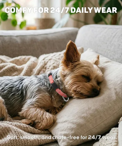 Miniatura 5 de TagME Collares para perros pequeños, collar de nailon reflectante para mascotas con hebilla de liberación rápida, collar para perros pequeños