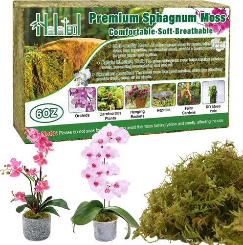 Miniatura 11 de Halatool Musgo de bosque verde de 1.1 libras, musgo esfagnum natural de 25 cuartos para plantas, musgo de orquídea esponjoso para trasplante