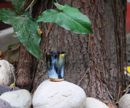 Miniatura 7 de Vasos de chupito Viking Drinking Horn Jarro de cerveza Auténtico cuerno de buey hecho a mano para hidromiel y vino, regalo de primera calidad