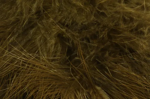 Miniatura 8 de Hareline Fly Tying X-Select Marabou – Premium Marabou Feathers for Fly Tying Streamers, Woolly Buggers & Leeches