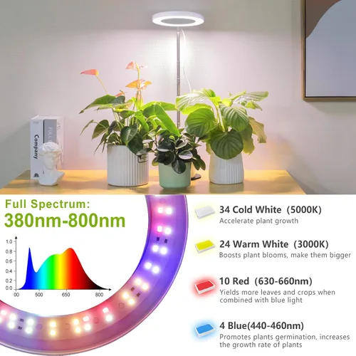Miniatura 6 de LORDEM Luz de crecimiento, luz LED para plantas de interior, lámpara de crecimiento de escritorio de espectro completo con temporizador automático
