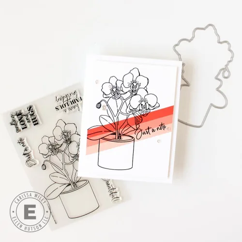 Miniatura 3 de Ellen Hutson, Essentials by Ellen, Juego de sellos y troqueles de orquídea Mondo