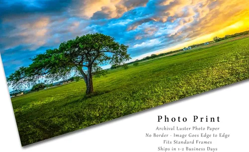 Miniatura 2 de Sky Photography Print (Not Framed) Picture of Colorful Storm Clouds Over Lone Tree at Sunset on Stormy Evening in Texas Country Wall Art Nature