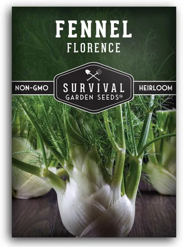 Semilla de hinojo para plantar – 1 paquete con instrucciones para cultivar hinojo de Florencia (Finnochio) en el huerto de tu hogar – Variedad de