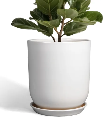 Miniatura 64 de Maceta de Cerámica para Plantas de Interior de 5 Pulgadas - Maceta Redonda para Plantas Suculentas con Agujero de Drenaje y Platillo, Decoración