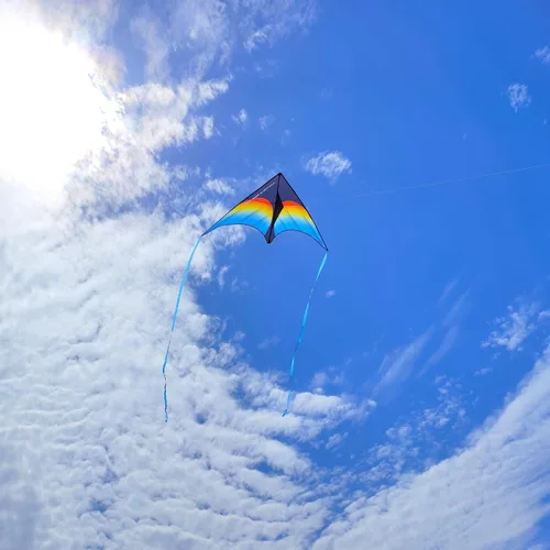 Miniatura 4 de Large Rainbow Delta Kite for Kids & Adults,Single Line Beach Kite for Kids Ages 4-8 & 8-12,Easy to Fly for Toddlers and Beginners