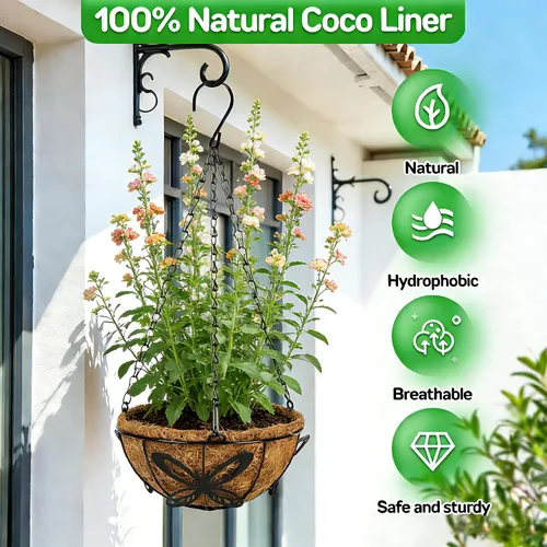 Miniatura 5 de QCQHDU Paquete de 2 cestas colgantes de metal de 10 pulgadas para orquídeas para plantas al aire libre, cesta colgante de orquídeas