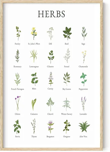 HAUS AND HUES Imágenes de hierbas para arte de pared de cocina, impresiones botánicas y collage de hierbas para decoración de núcleo de cabaña Marco