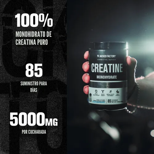 Miniatura 3 de Jacked Factory Monohidrato de creatina en polvo de 15 oz – Suplemento diario de creatina de 0.18 oz para hombres y mujeres, apto para veganos