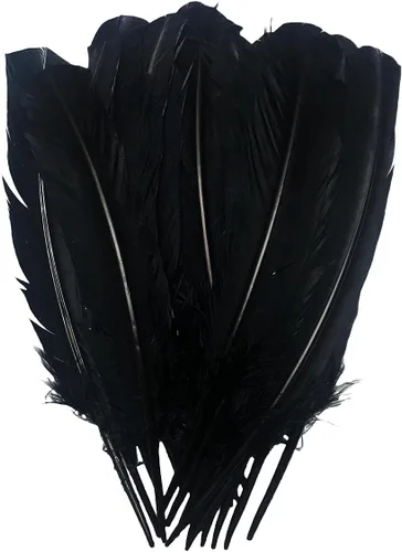 Plumas de pavo negro, pluma larga natural grande de 10 a 13 pulgadas, plumas bilaterales de tamaño grande para manualidades, 12 piezas (pavo negro)