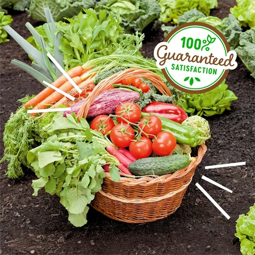 Miniatura 8 de Back to The Roots Harina de sangre 100% orgánica Fabricada en los EE. UU. Nutrición premium para jardinería de plantas de interior y exterior