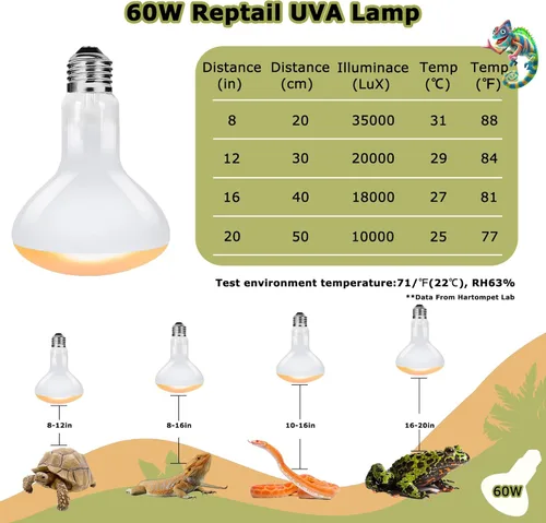 Miniatura 6 de Bombillas de lámpara de calor de reptiles de 60 W, luz de punto de calentamiento UVA de 2.5 pulgadas para dragón barbudo, lagarto, tortuga, pollitos