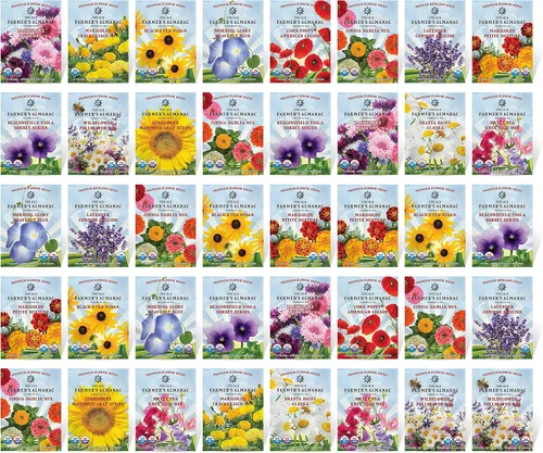 The Old Farmer's Almanac Paquete variado de semillas de flores de primera calidad, 40 paquetes, sin OMG, premium, polinizadas abiertas