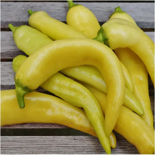 Miniatura 2 de Everwilde Farms - Semillas de pimiento dulce de plátano dulce de 1 onza - Gold Vault