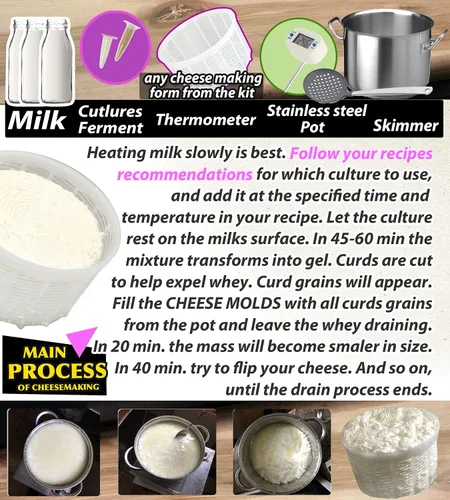 Miniatura 4 de PetriStor Kit de 7 piezas para hacer quesos para principiantes №1 – Moldes de queso suave + molde de queso con un pistón seguidor – Suministros