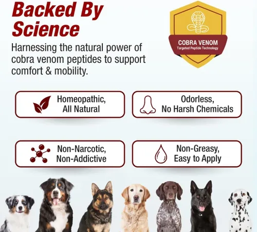Miniatura 7 de Pet Dolor Away – Todos los Homeopática naturales de la cadera y suplemento para perros y gatos conjunta, Crónica y Artritis Alivio del Dolor