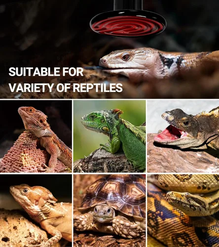 Miniatura 5 de REPTI ZOO Emisor de calor de cerámica de 60 W, lámpara de calor para reptiles, bombillas de calor nocturno, terrario de reptil, lámpara de calor