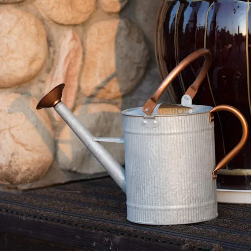 Miniatura 8 de Recipiente para regar plantas de interior y exterior, galvanizada, estilo moderno con asa y rosetón zinc