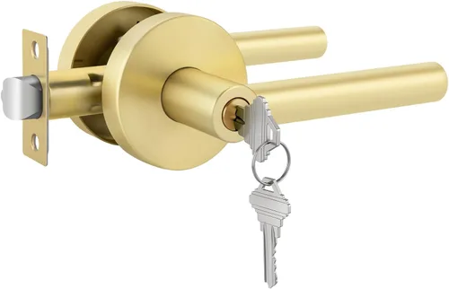 Miniatura 8 de Goldenwarm - Paquete de 1 picaporte negro inactivo de una sola cara, con tirador de puerta de extracción mate, resistente, para armario o despensa