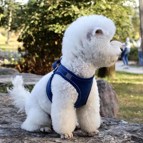 Miniatura 5 de Juego de arnés y correa para perro con correa para el pecho para mascotas, arnés reflectante ajustable para perros pequeños, medianos y gatos, azul